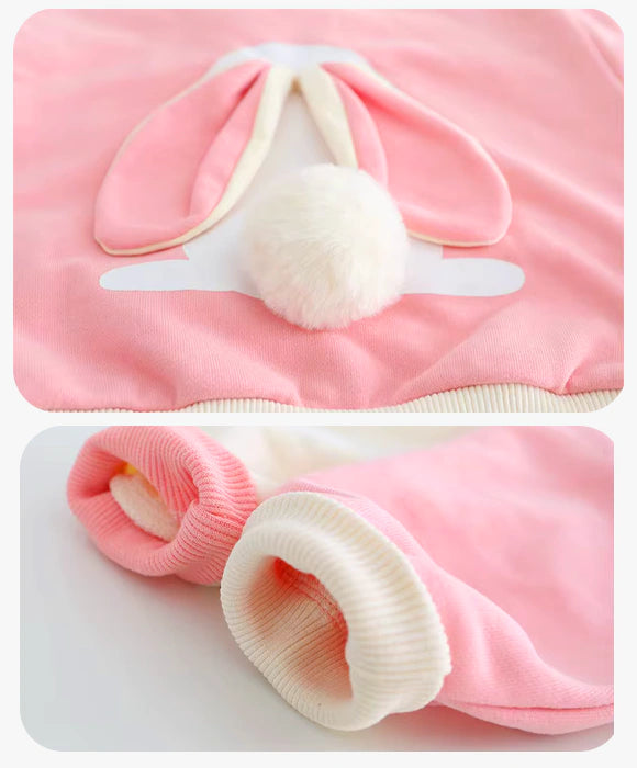 Conjunto Infantil Menina Inverno Coelho