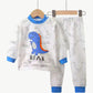 Pijama Infantil Dinossauro Inverno