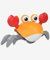 Caranguejo Fujão Brinquedo Educativo