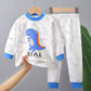 Pijama Infantil Dinossauro Inverno
